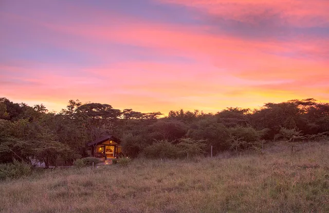 Sarova Mara Game Camp photo 11