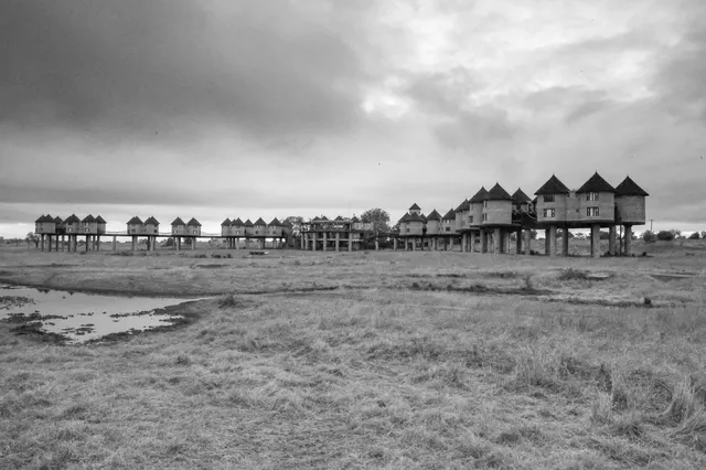 Salt Lick Safari Lodge  photo 4