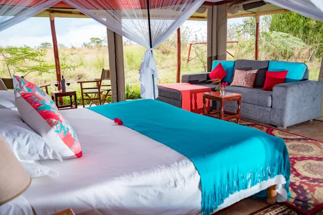 Zebra Plains Mara Camp photo 2