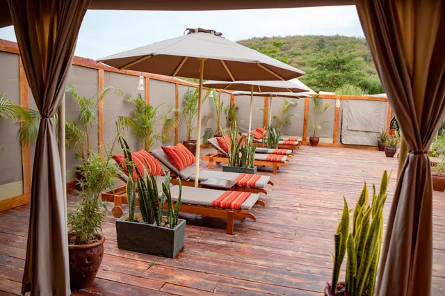 Zebra Plains Mara Camp photo 1